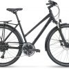 Stevens Primera dame - 2025